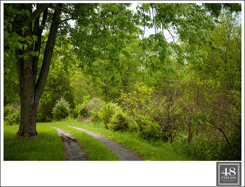 DSC_3028May-16,-2014