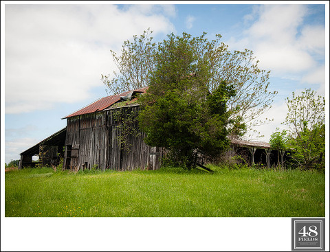 DSC_3042May-16,-2014