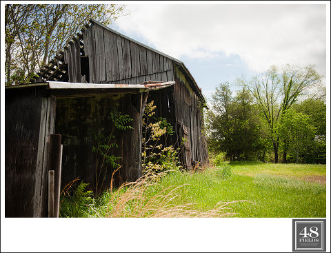 DSC_3049May-16,-2014