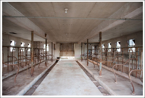 48-Fields-Farm-Leesburg-Virginia-Barn-Renovation-Before-After-New-Floors