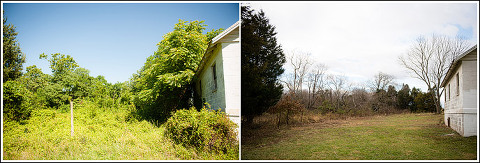 leesburg-virginia-barn-renovation-48-fields-before-after-clearing-overgrowth