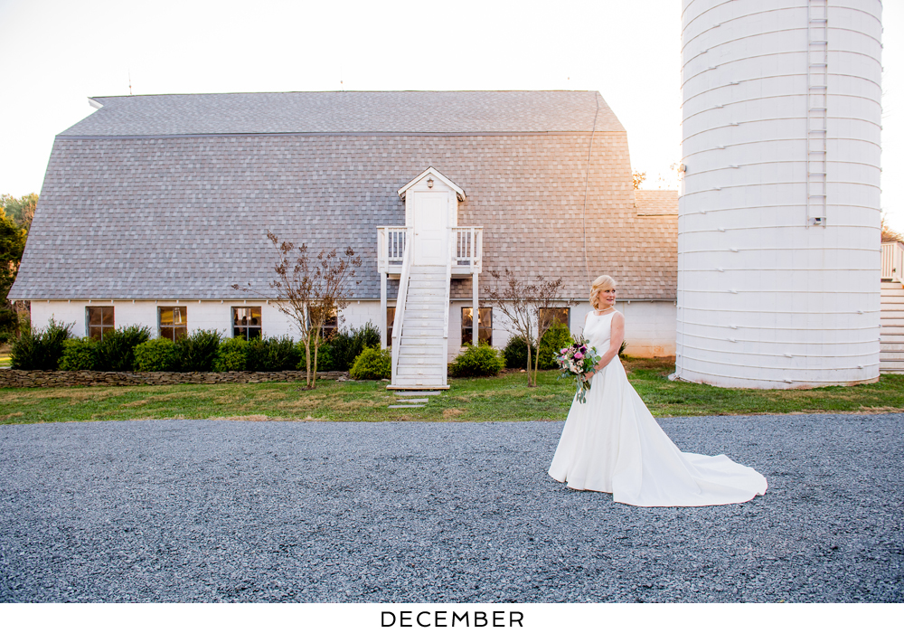 A gallery of favorite wedding photos by month at 48 Fields Farm in Leesburg VA | A Loudoun County barn wedding venue