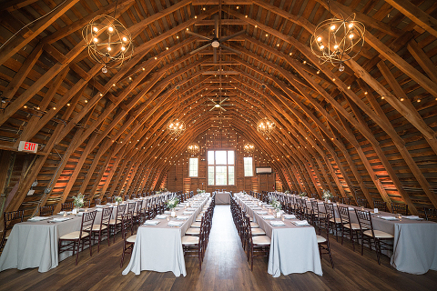 simple-rustic-wedding-blue-white-48-fields-leesburg-va-erika-connor (21)