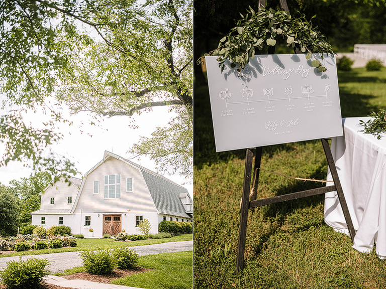 light-blue-sage-green-animal-lovers-barn-wedding-northern-virginia-48fields-leesburg-va-katy-luke