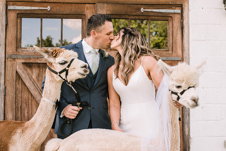 light-blue-sage-green-animal-lovers-barn-wedding-northern-virginia-48fields-leesburg-va-katy-luke