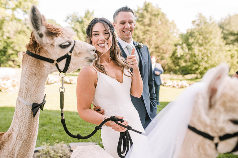 light-blue-sage-green-animal-lovers-barn-wedding-northern-virginia-48fields-leesburg-va-katy-luke