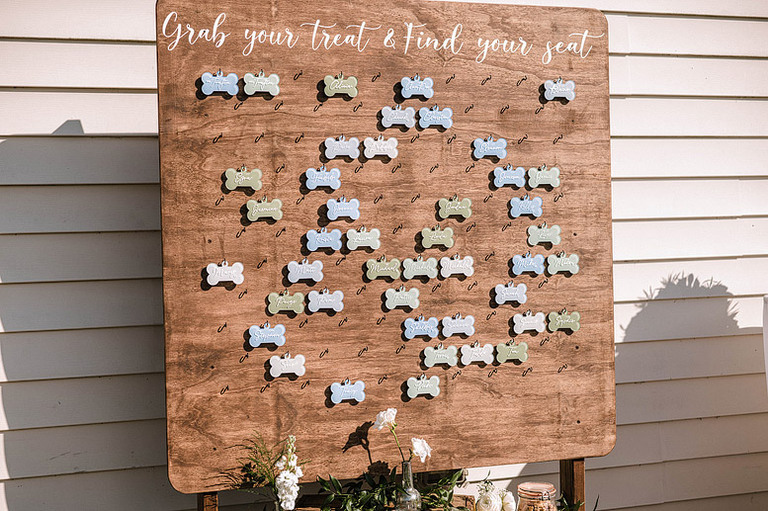 light-blue-sage-green-animal-lovers-barn-wedding-northern-virginia-48fields-leesburg-va-katy-luke