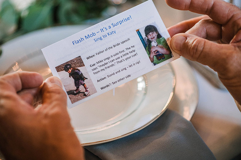 light-blue-sage-green-animal-lovers-barn-wedding-northern-virginia-48fields-leesburg-va-katy-luke