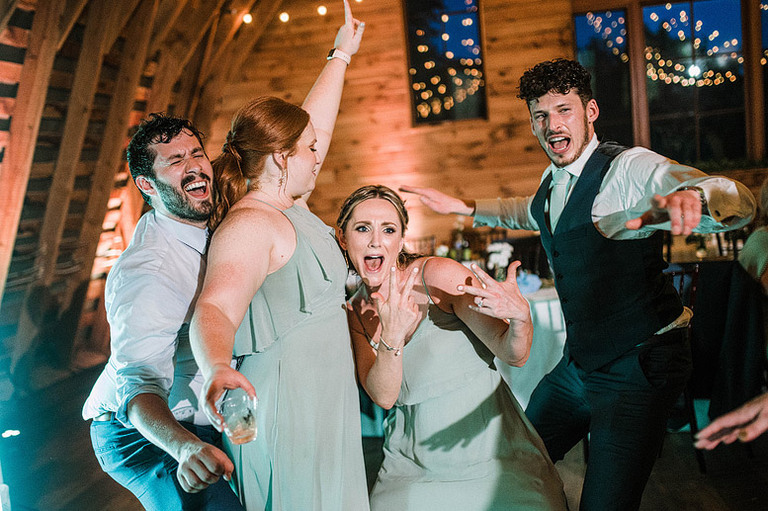 light-blue-sage-green-animal-lovers-barn-wedding-northern-virginia-48fields-leesburg-va-katy-luke