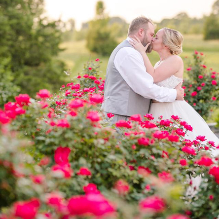 48-Fields-Weddings-Year-In-Photos-Cover V3.jpg