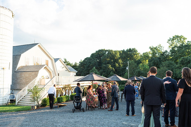 fall-wildflower-wedding-northern-virginia-48-fields-leesburg-va-janelle-jordan