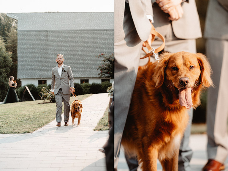 Dark-Moody-Til-Death-Wedding-Inspiration-48-Fields-Lucketts-VA-Megan-Austin