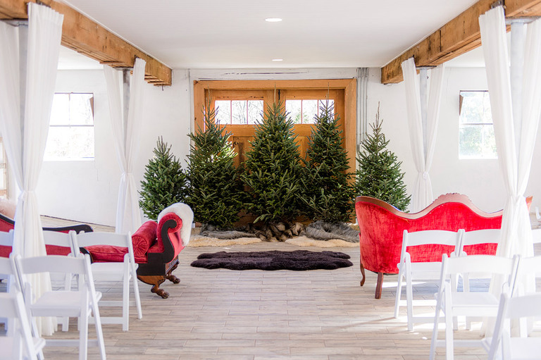 Northern-Virginia-Winter-Wedding-Photos-48-Fields-Leesburg-VA