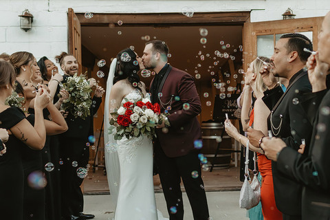dark-moody-black-burgundy-wedding-leesburg-va-48-fields-courtney-dylan