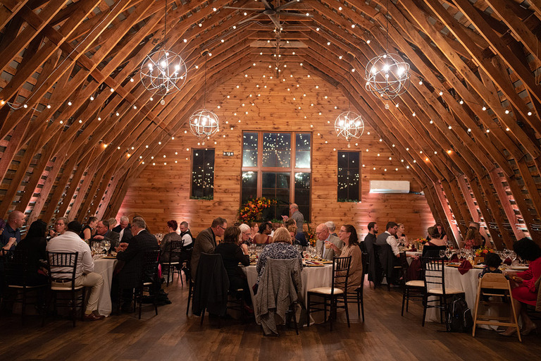 red-yellow-sunflower-fall-micro-wedding-northern-virginia-48-fields-kirsten-dan