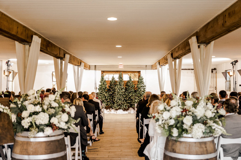 elegant-christmas-theme-winter-wedding-loudoun-county-va-48-fields-taylor-connor
