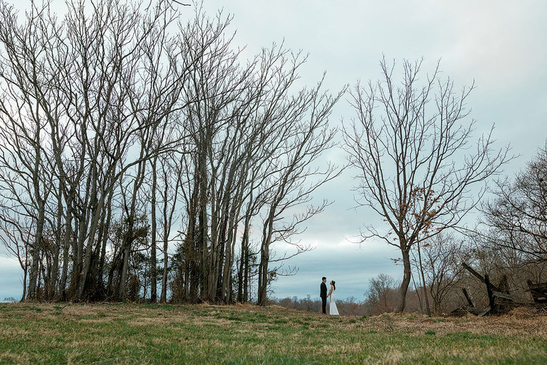 asian-american-wedding-with-tea-ceremony-northern-virginia-48-fields-faith-eric
